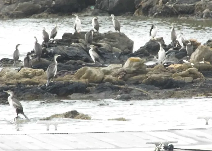 Отель Lina Стинтино