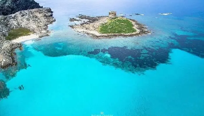 Lina Стинтино